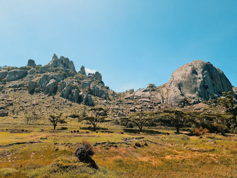 Zimbabwe 5