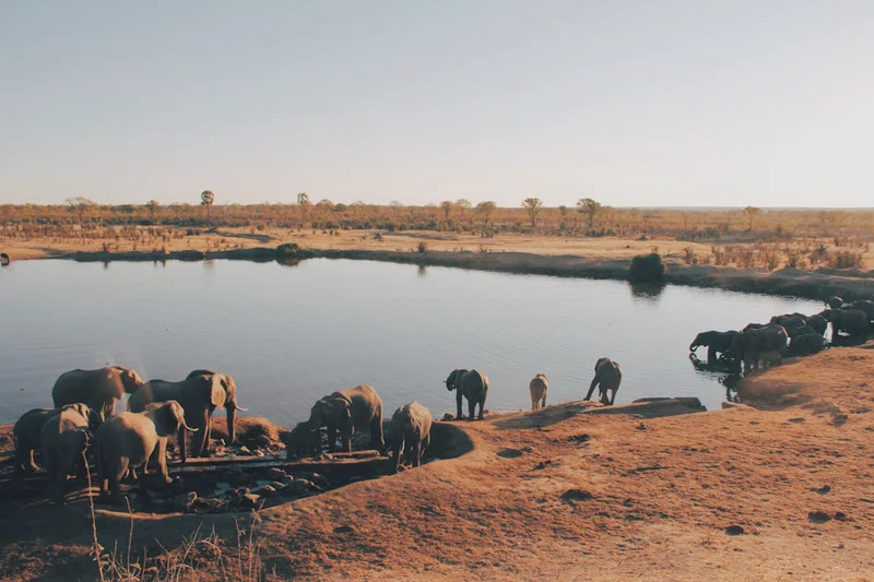 Zimbabwe 3