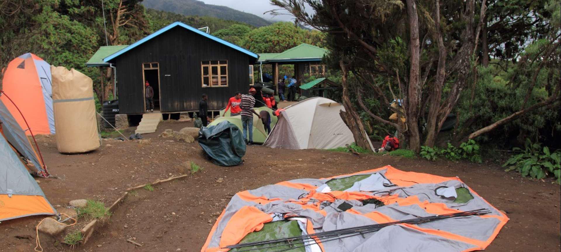 Lower Mweka Camp 5