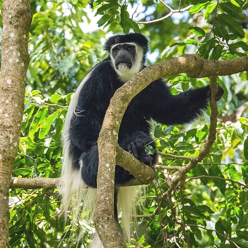 Engaruka 2