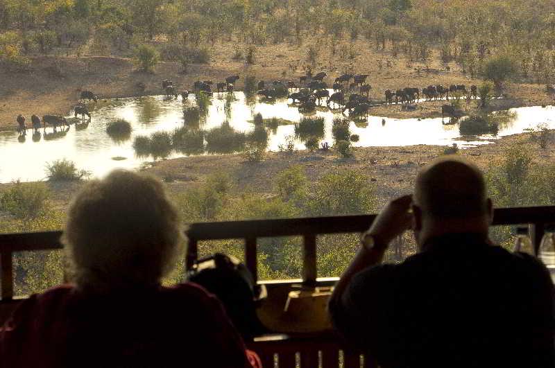 Victoria Falls Safari Lodge 5