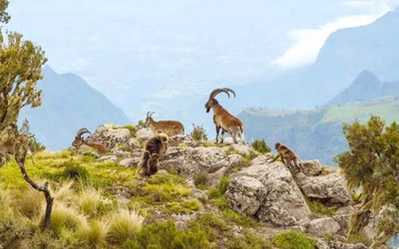 Mago National Park 2