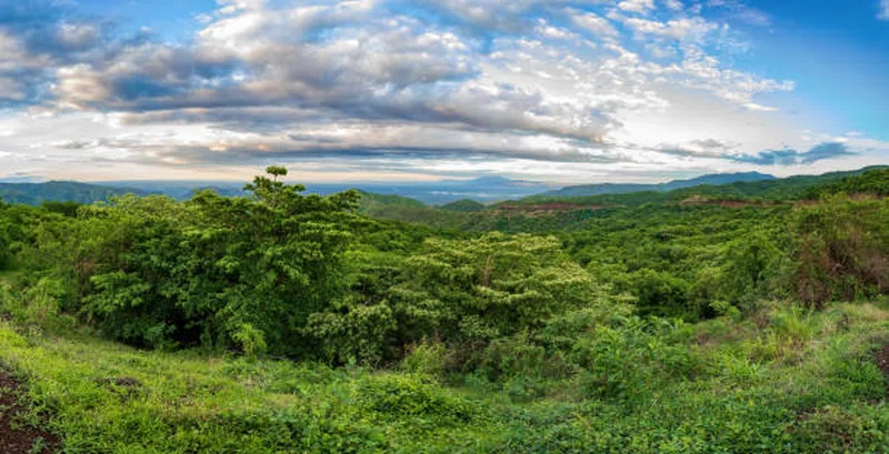 Mago National Park 5