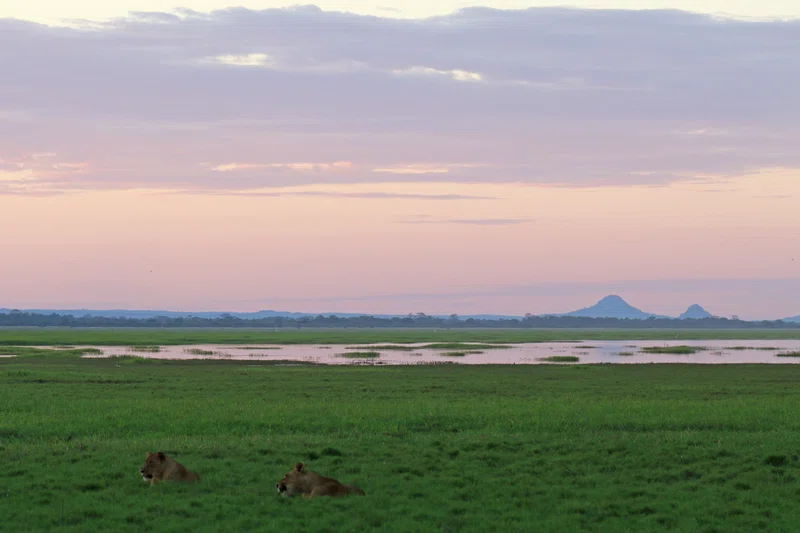 Gorongosa National Park 2