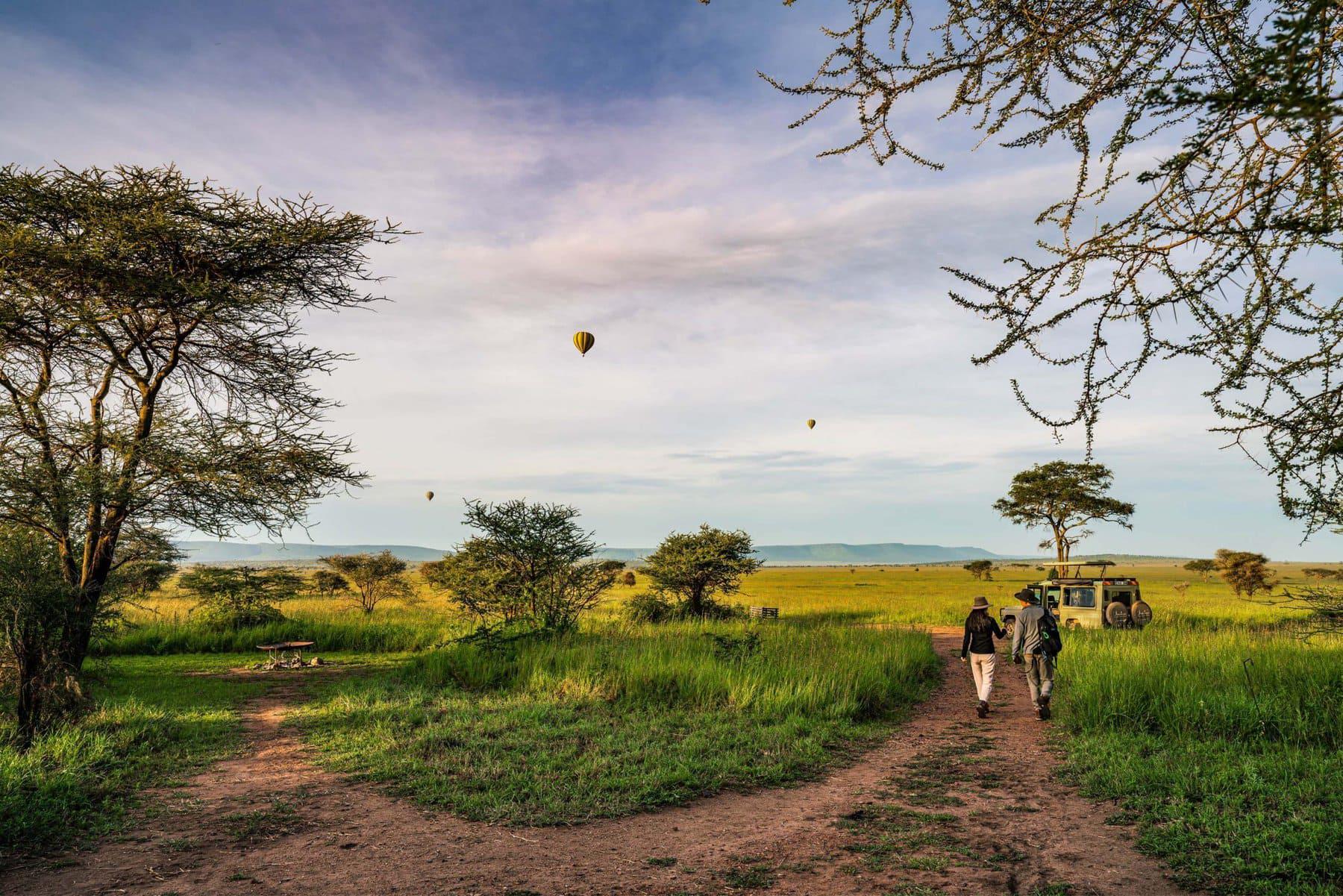 Lemala Camps and Lodges