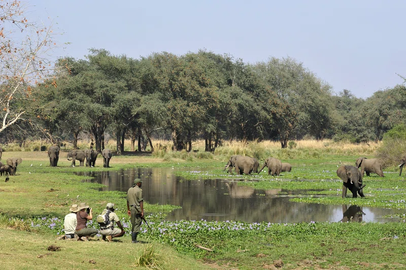 Lower Zambezi National Park 3