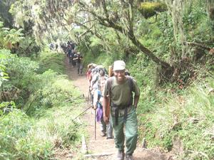 Wildlife Internship Tanzania