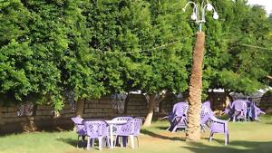 El Forsan Cafe 2
