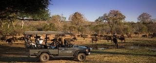 Stanley & Livingstone at Victoria Falls 4