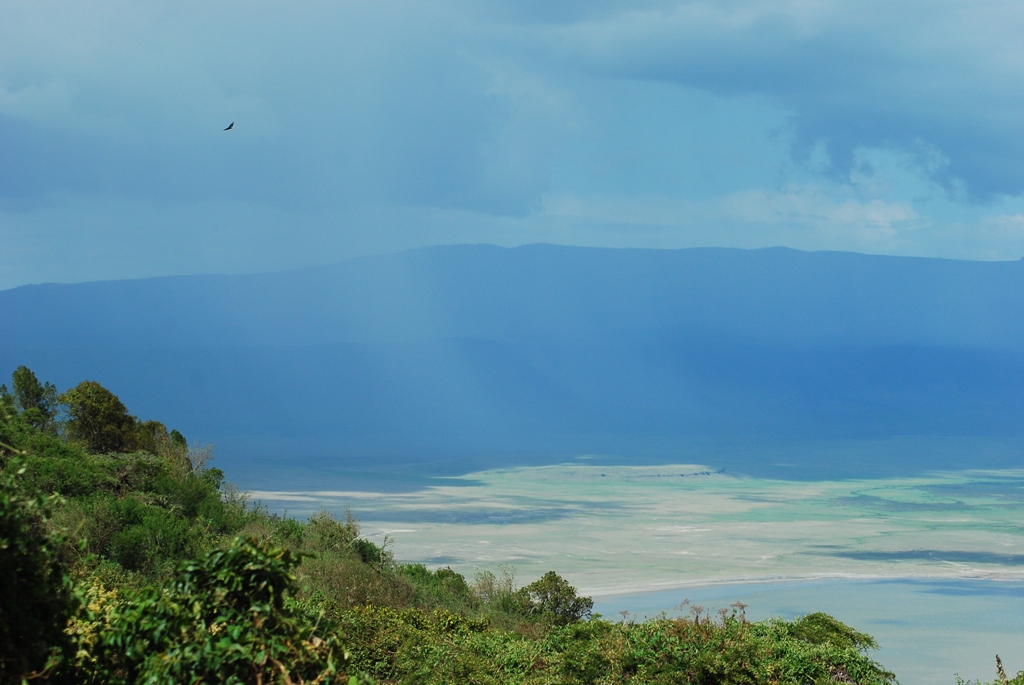 Arusha Trips 2