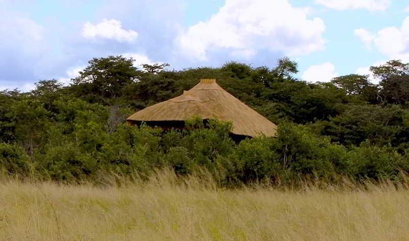 Gwango Elephant Lodge 5