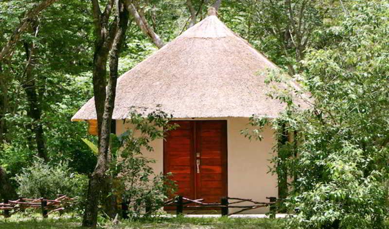 Gwango Elephant Lodge 3