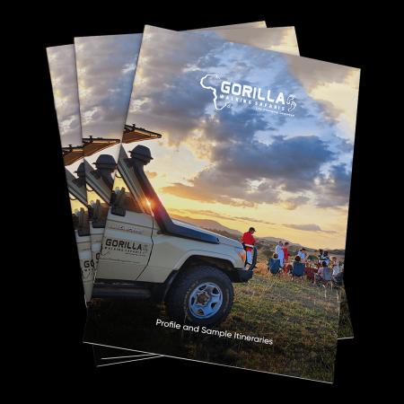Gorilla Walking Safaris 1