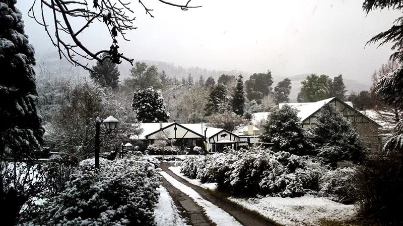 The Hogsback Inn 4