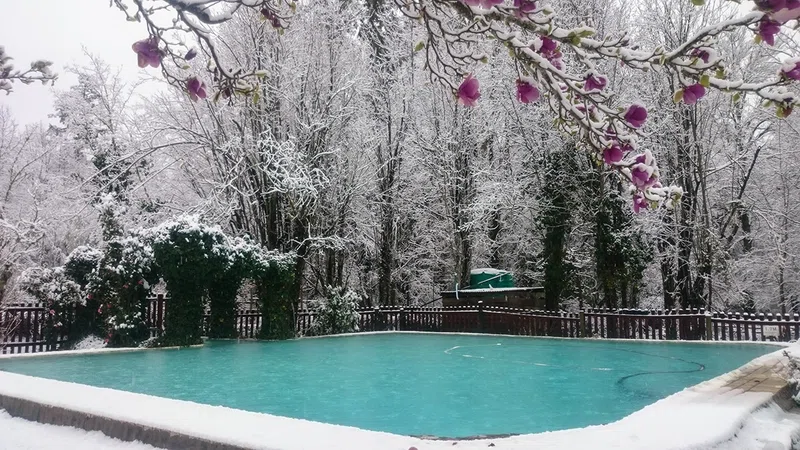 The Hogsback Inn 2