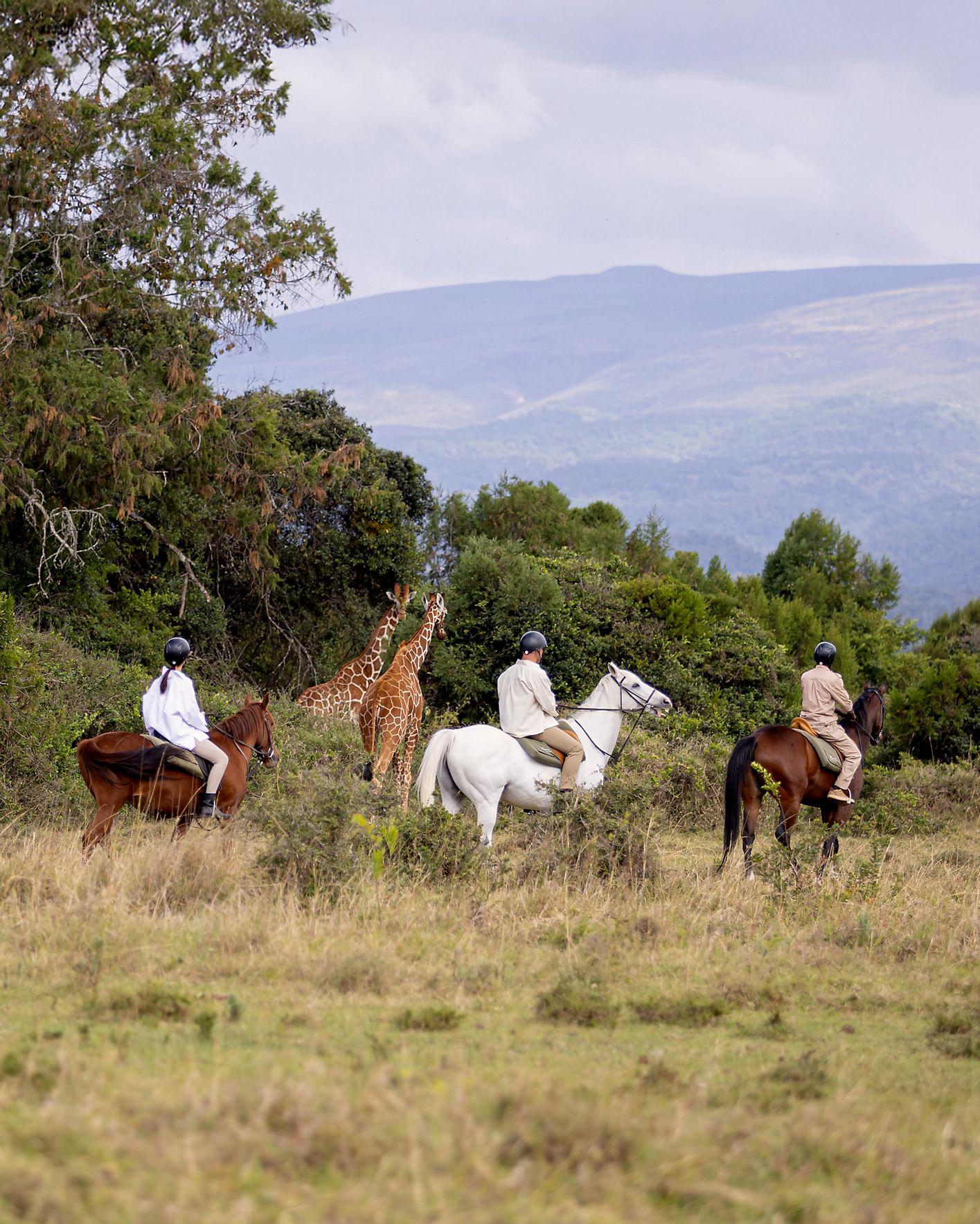 Fairmont Mount Kenya Safari Club 2