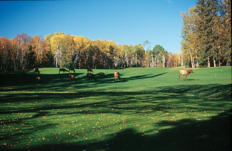 Prince Albert Country Stay 5