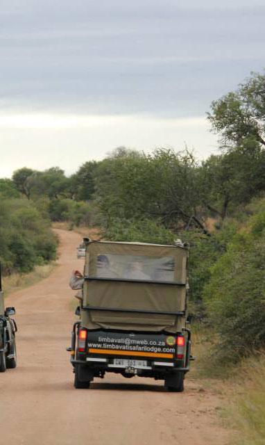 Timbavati Safari Lodge