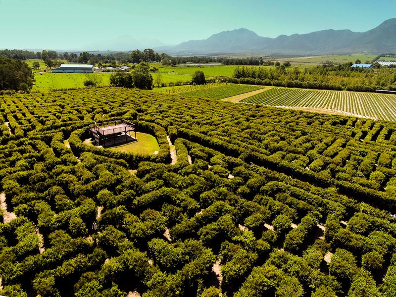 Redberry Farm 3
