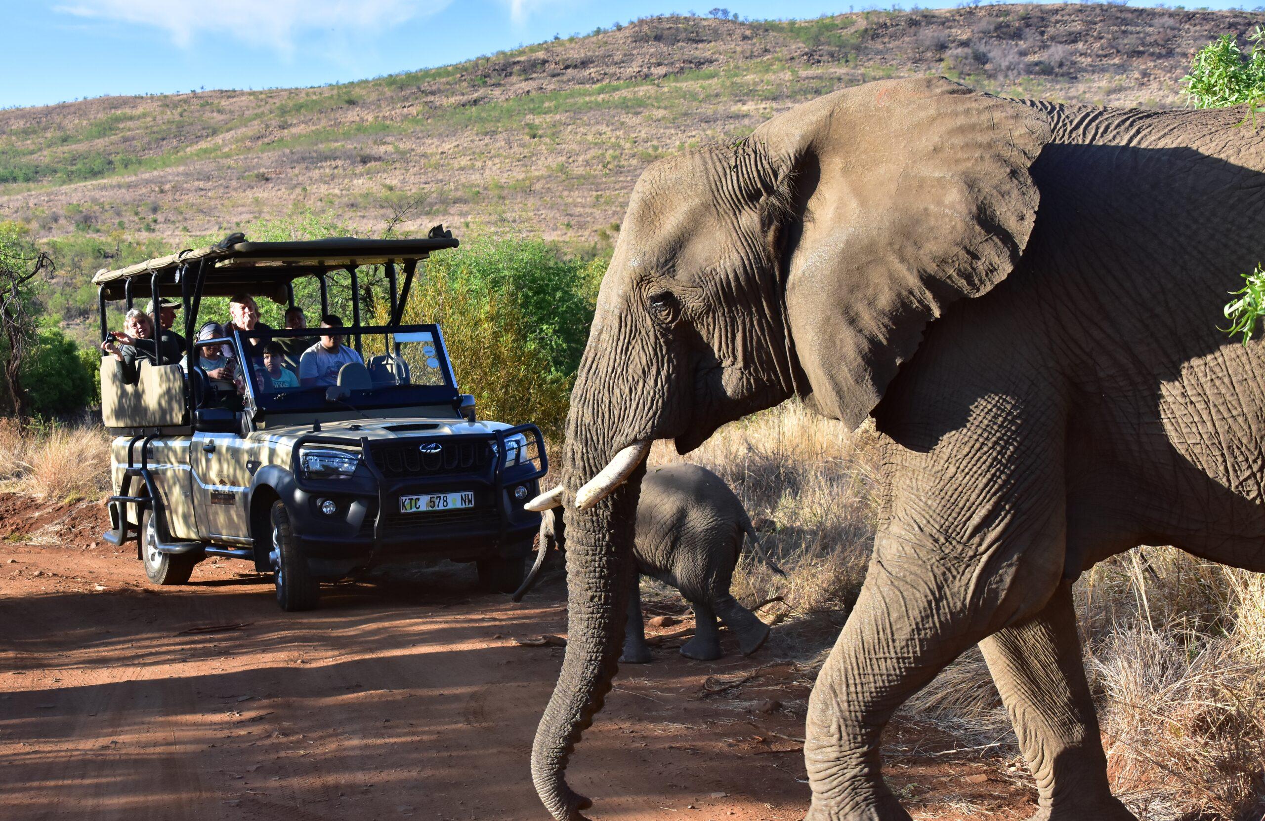 Mankwe GAMETRACKERS