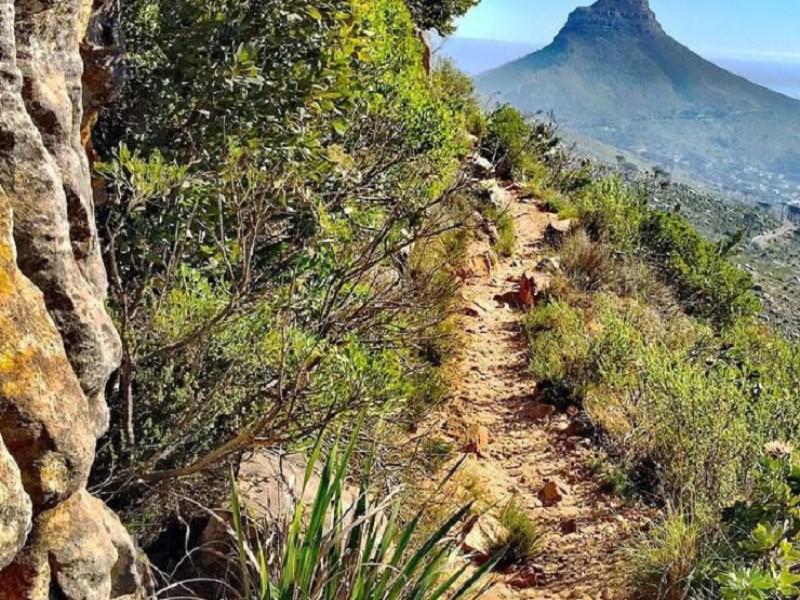Table Mountain Aerial Cableway Company (Pty) Ltd 5