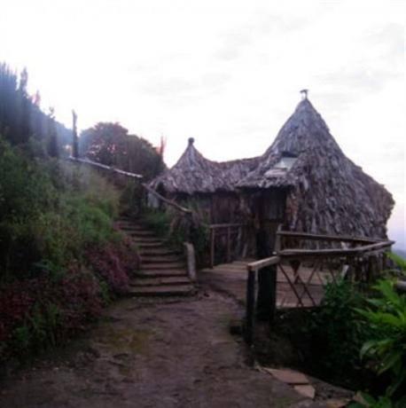 Mount Kilimanjaro View Lodge