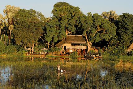 Jacana Camp