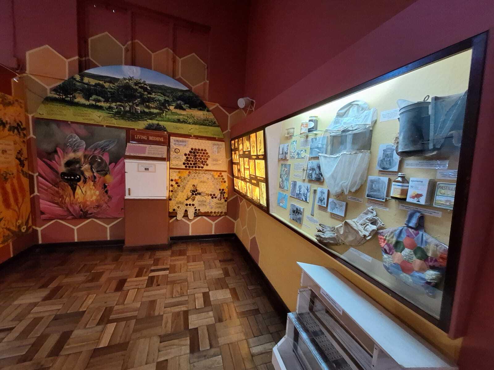 East London Museum 5