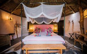 Addo African Home 5