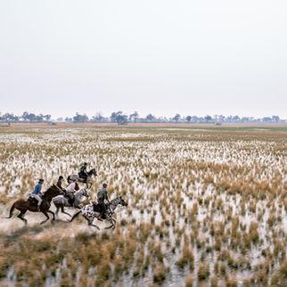 Okavango Horse Safaris