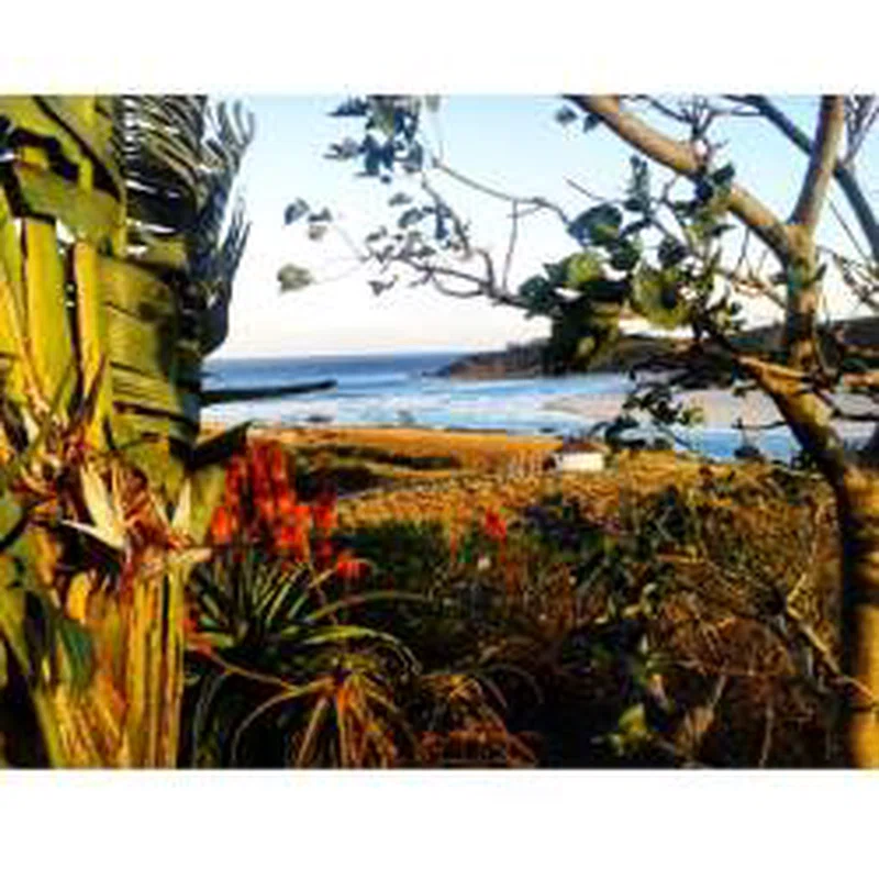 Eagles Nest Coffee Bay 2