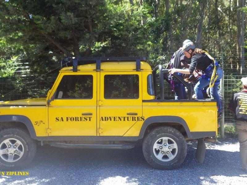 SA Forest Adventures 2