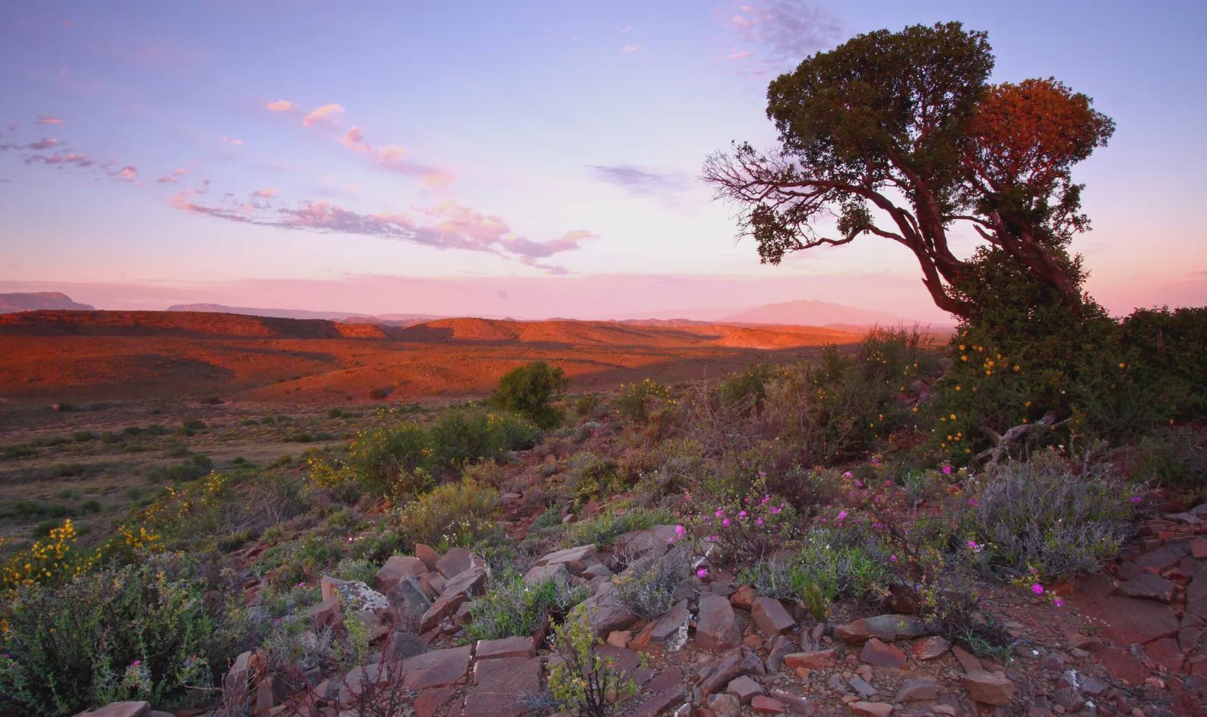 Sanbona Wildlife Reserve (Pty) Ltd