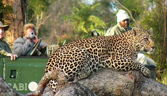Sabi Sabi Private Game Reserve