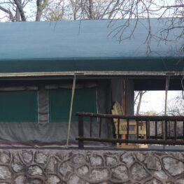 Thakadu Bush Camp