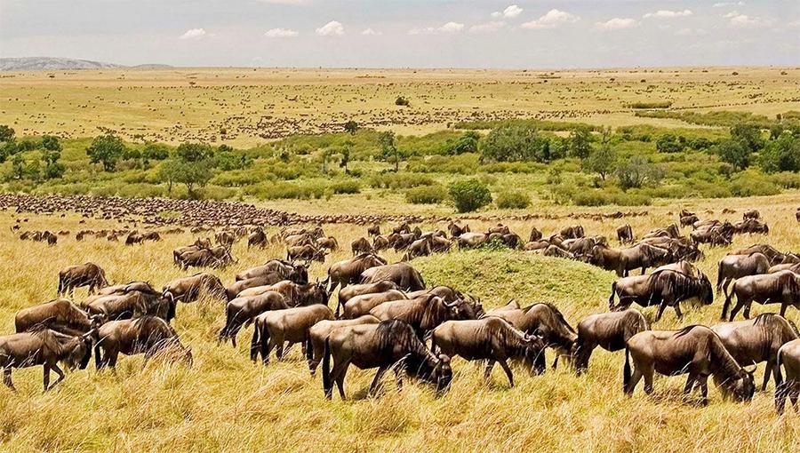 Africa Home Adventure Safaris 1