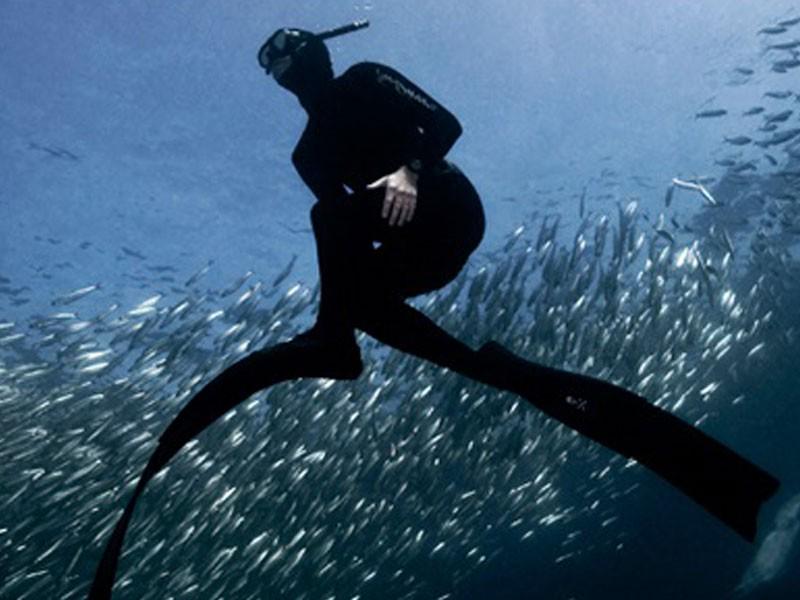 Dive The Big 5 2