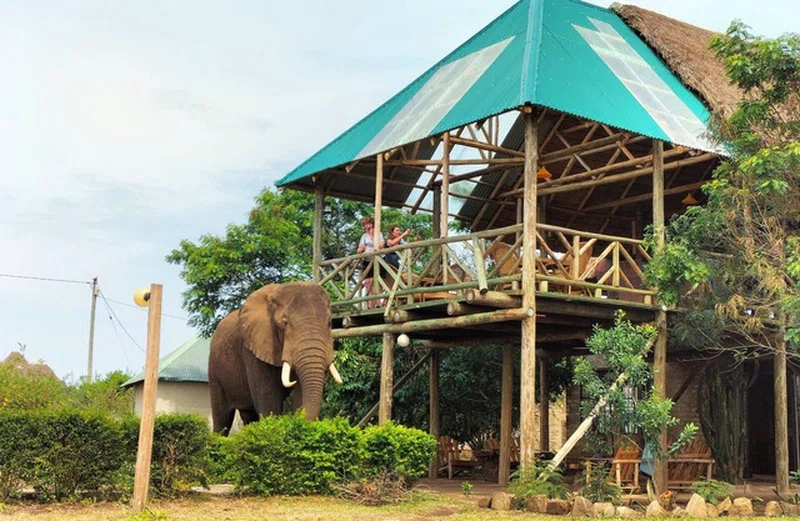 Uhuru 50 Hotel Kasese 3