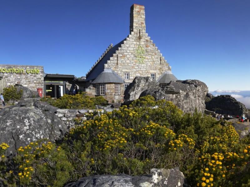 Table Mountain Aerial Cableway Company (Pty) Ltd 3