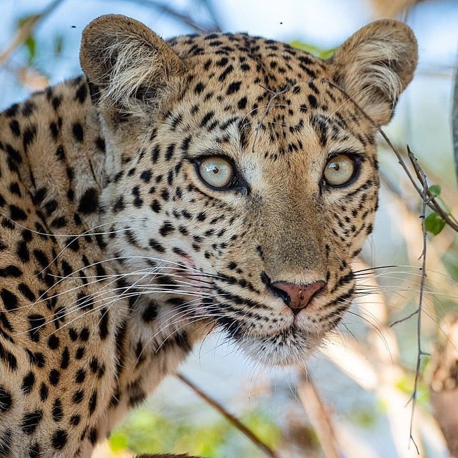 Arusha Trips 5