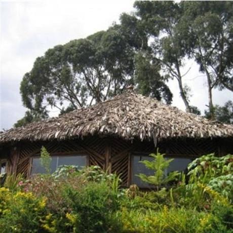 Mount Kilimanjaro View Lodge 3