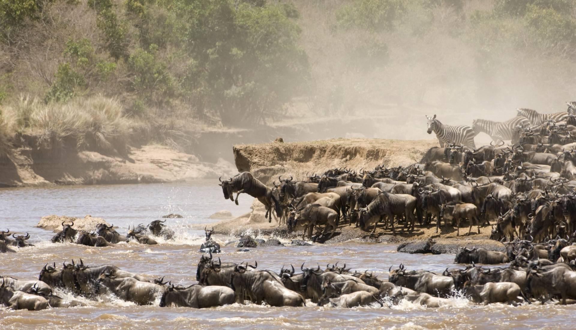Milana Tours and Safaris 1
