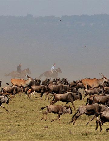 Drones Africa Safaris 1