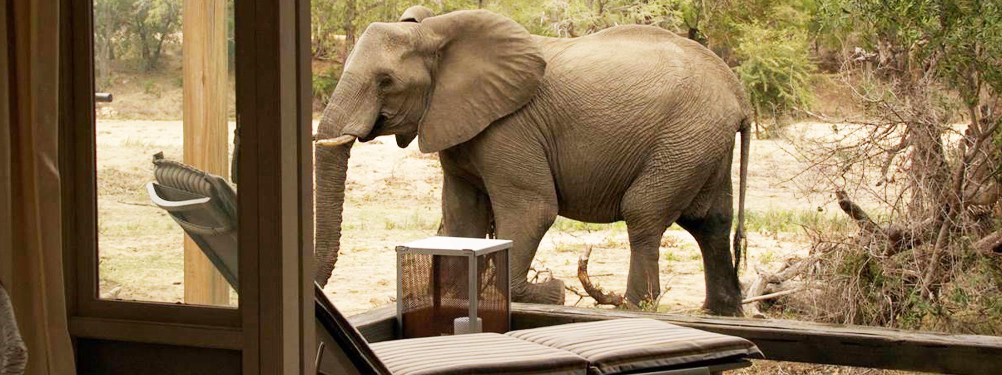 Simbavati River Lodge
