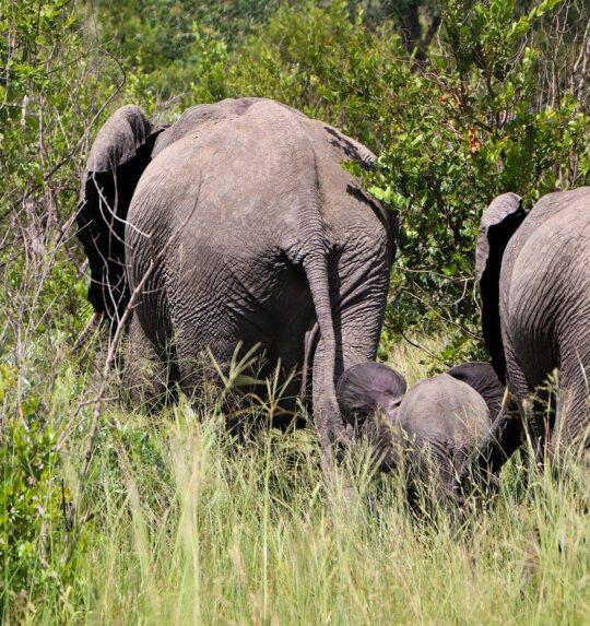 Kruger Lowveld Tourism