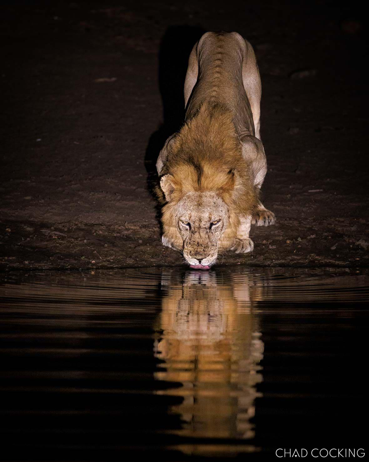 Tanda Tula