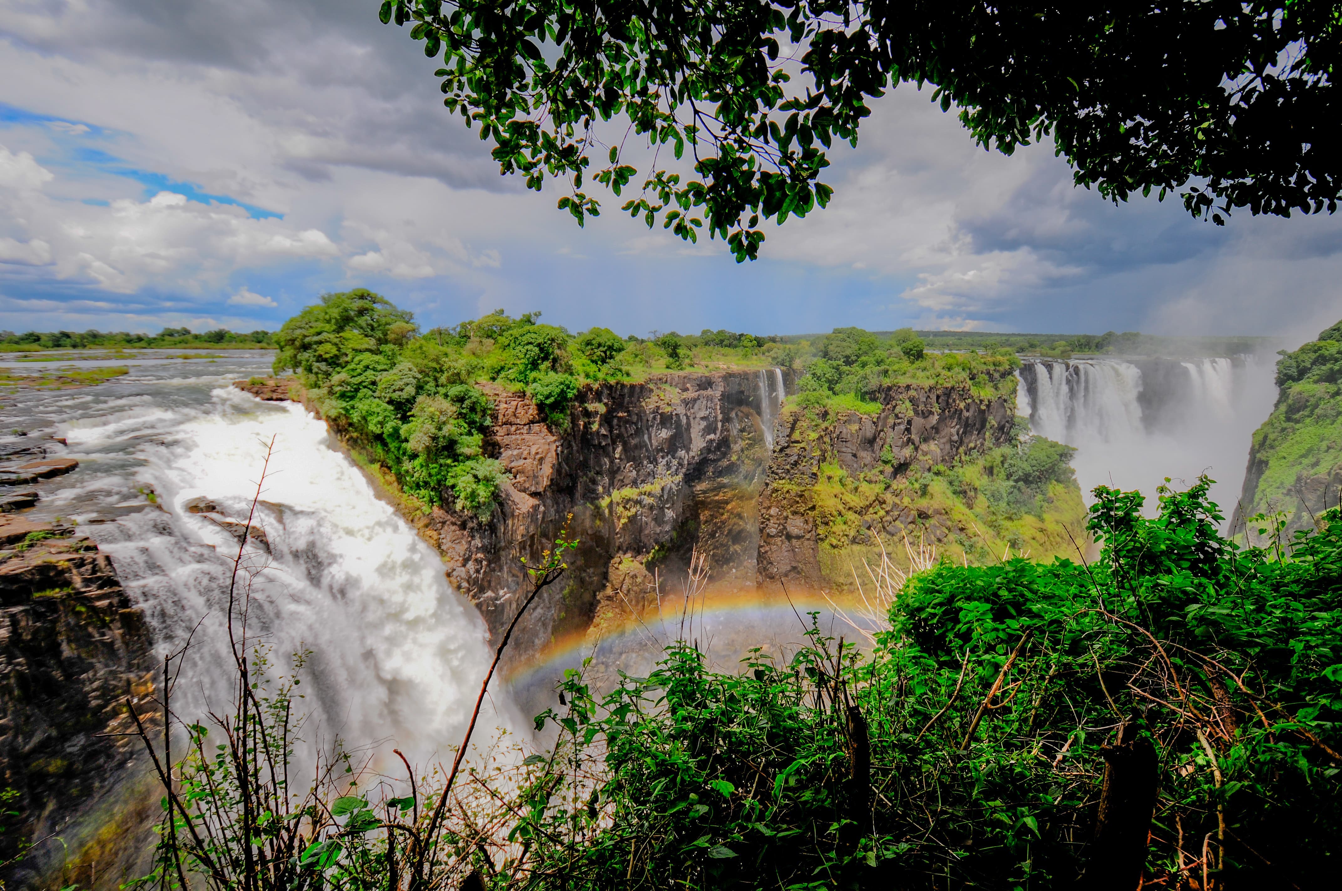 Cuckoo Safaris