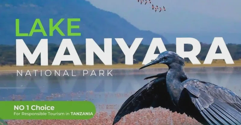 Lake Manyara National Park 5