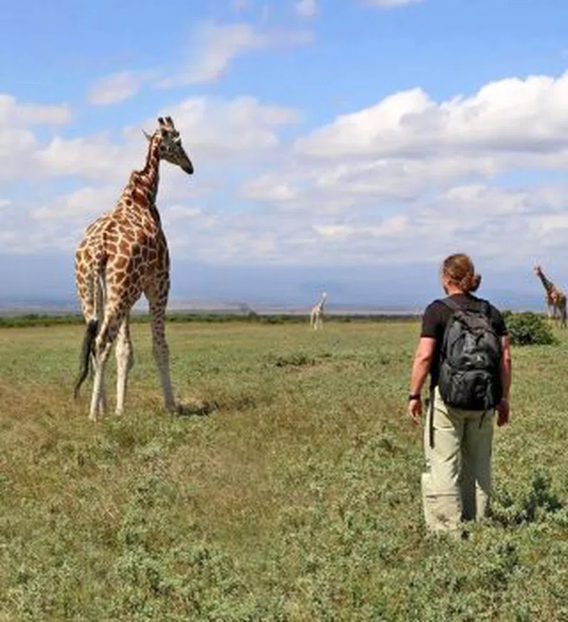Tarangire National Park 3