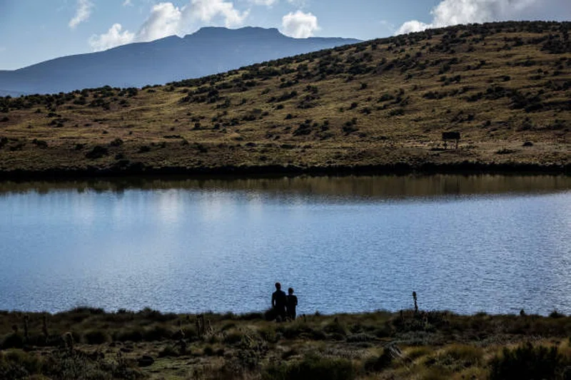 Mount Kenya National Park 3